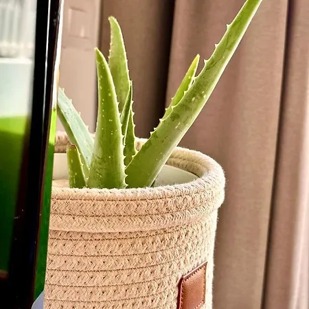 Danubio - Playa Del Ingles Апартаменты Маспаломас