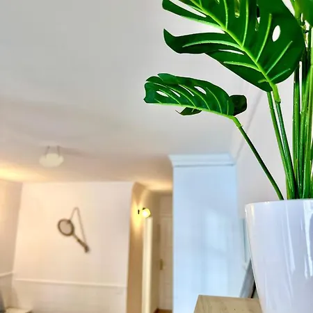 Apartment Danubio - Playa Del Ingles *