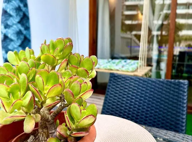 Danubio - Playa Del Inglés Appartement