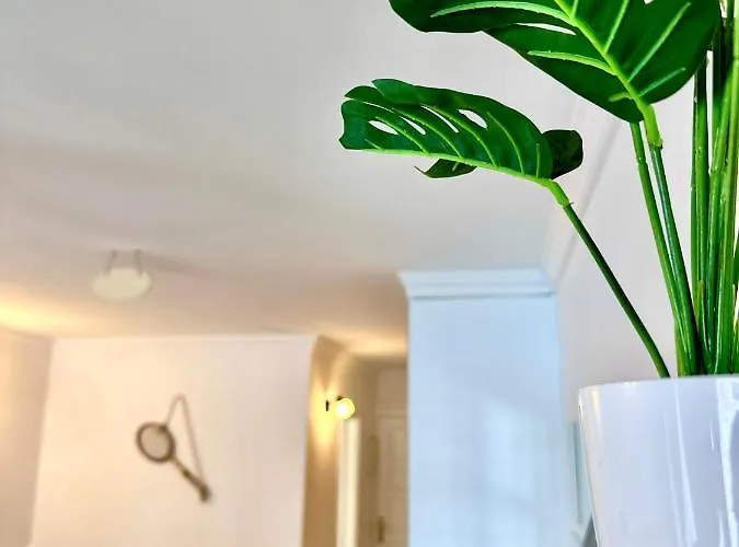Appartement Danubio - Playa Del Inglés *